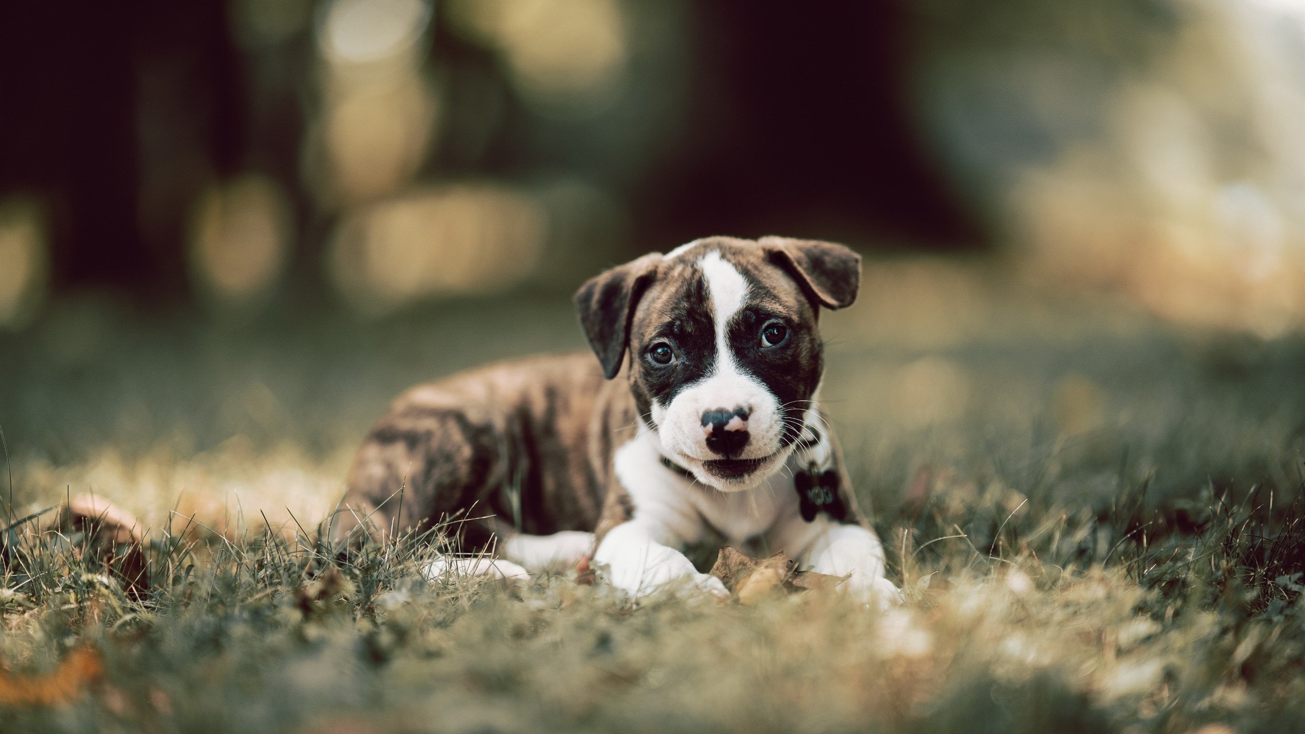 弱队变强队：靠什么走出低谷？，弱队打强队的足球战术