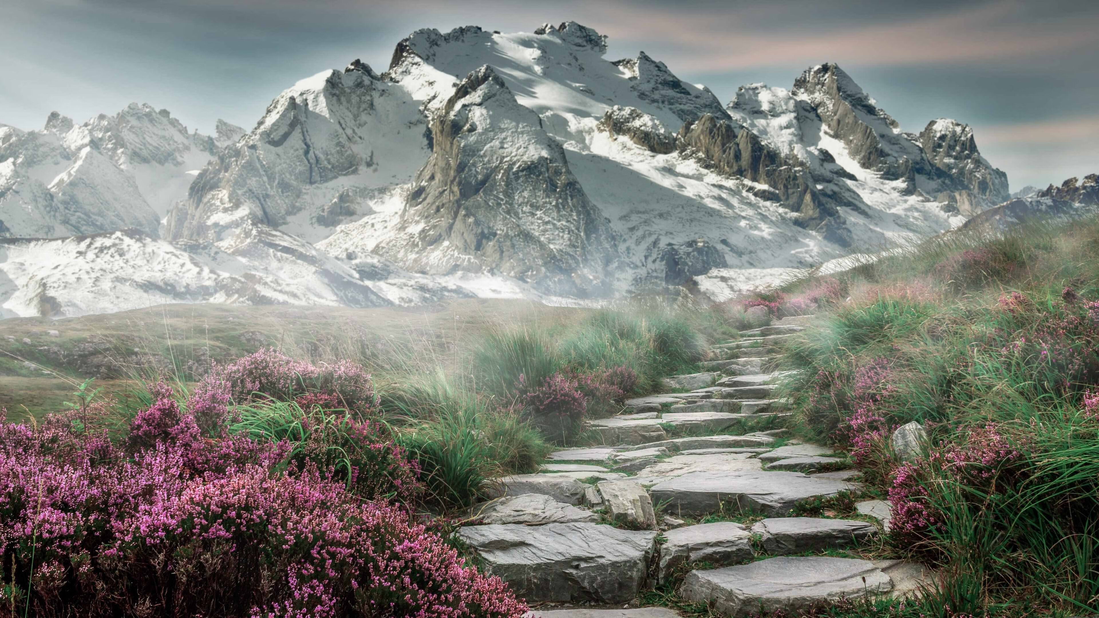 _老鹰快攻犀利，场面精彩纷呈_，老鹰进攻战术