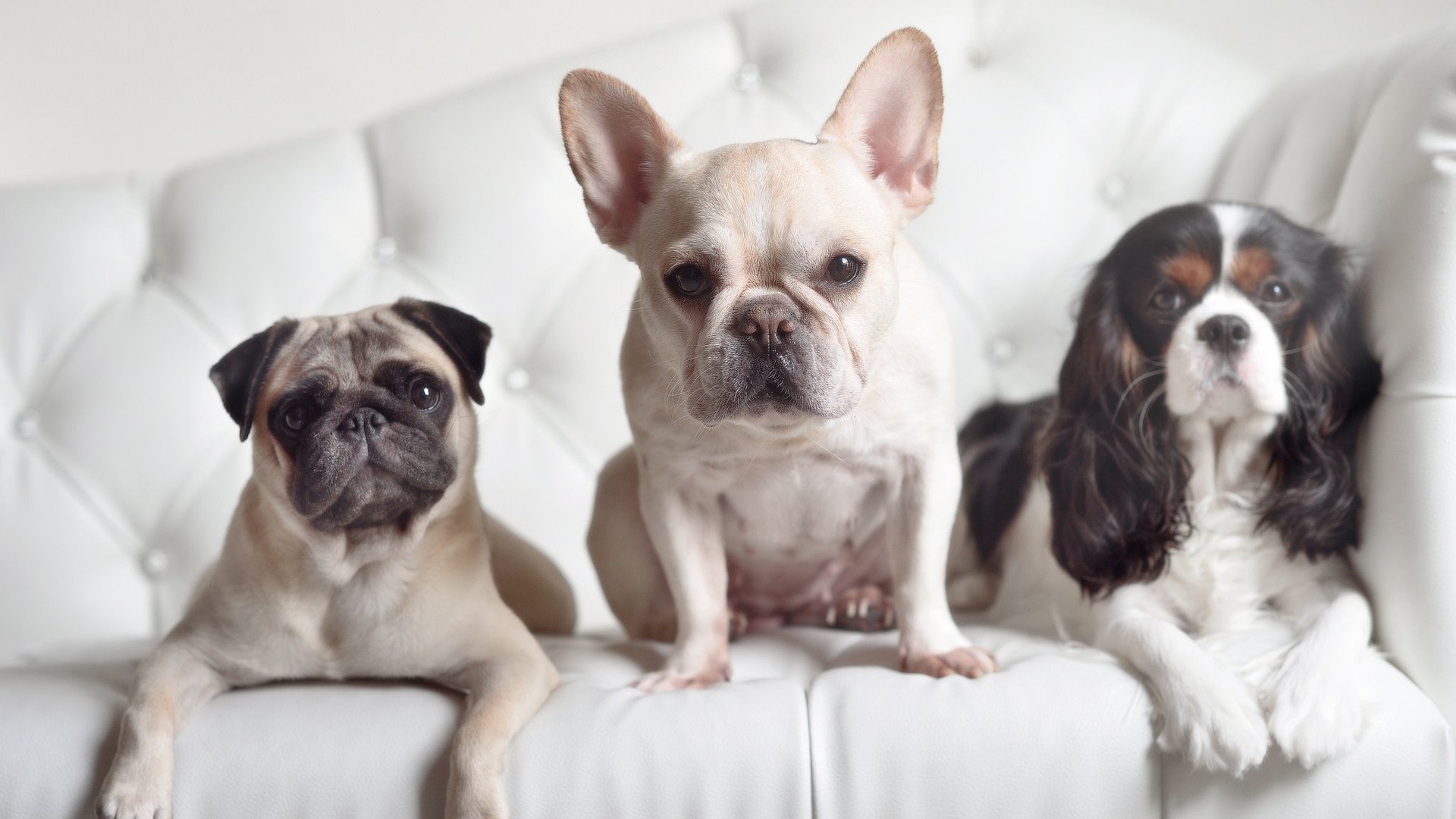 开云官网-“历史精彩：联盟历史上的精彩比赛大比拼”，联盟历史前十